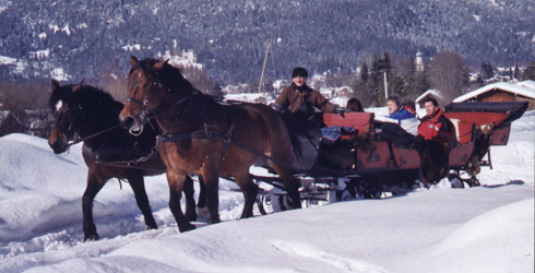 Kutschenfahrt durch den Schnee